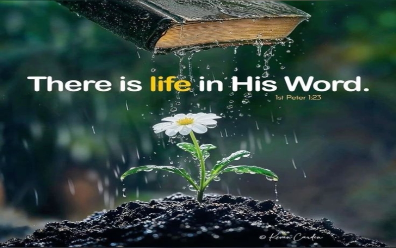 God Bless You Quotes in English