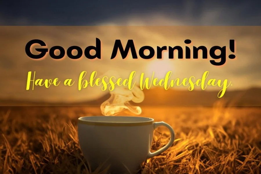 Happy Wednesday Good Morning