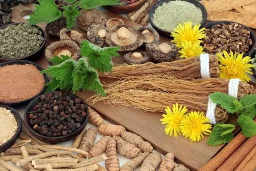 What Are Some Indian Herb Combinations That Help Combat Stress And Fatigue